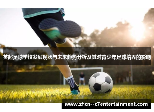 英超足球学校发展现状与未来趋势分析及其对青少年足球培养的影响
