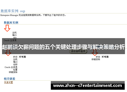 赵鹏谈欠薪问题的五个关键处理步骤与解决策略分析