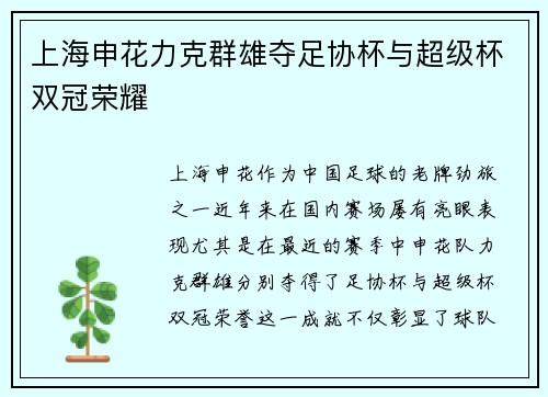 上海申花力克群雄夺足协杯与超级杯双冠荣耀
